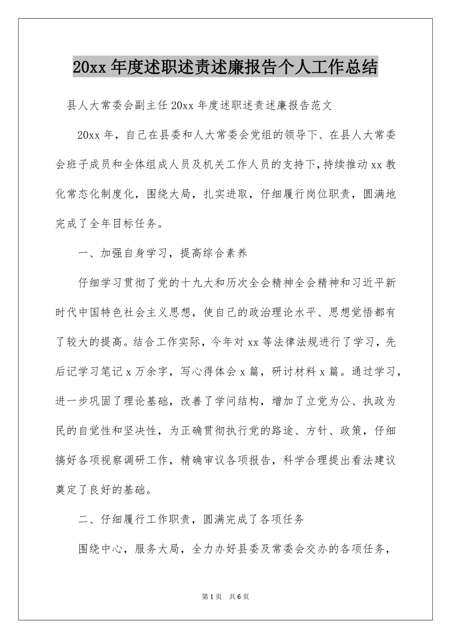 20xx年度述职述责述廉报告个人工作总结.docx_第1页