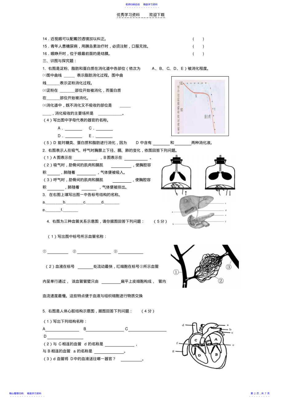 2022年七年级生物下册期末模拟试题 .pdf_第2页