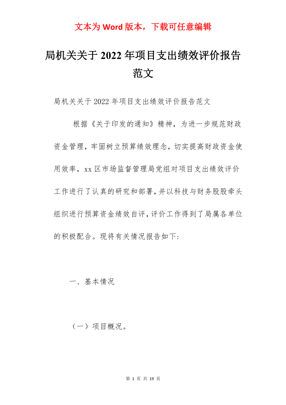 局机关关于2022年项目支出绩效评价报告范文.docx_第1页