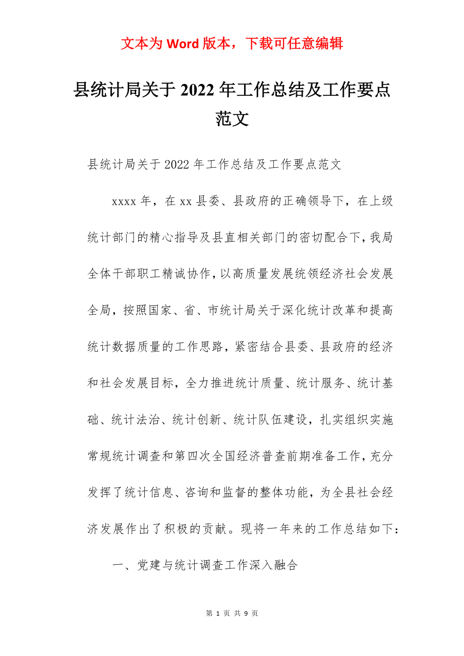 县统计局关于2022年工作总结及工作要点范文.docx_第1页