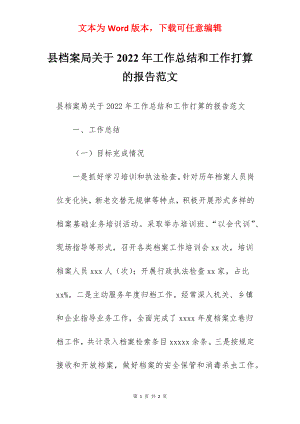 县档案局关于2022年工作总结和工作打算的报告范文.docx