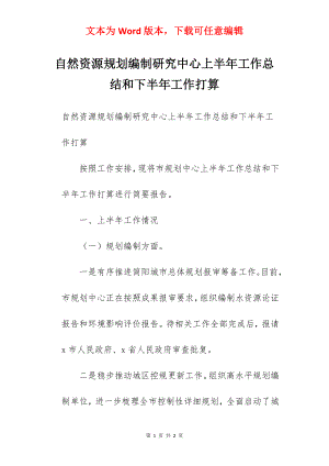 自然资源规划编制研究中心上半年工作总结和下半年工作打算.docx