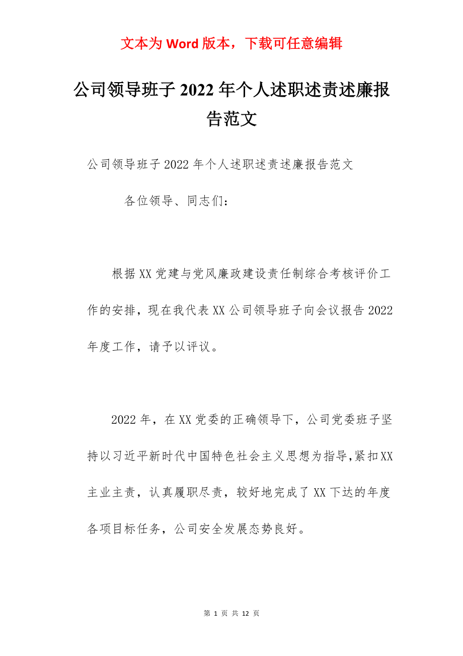 公司领导班子2022年个人述职述责述廉报告范文.docx_第1页