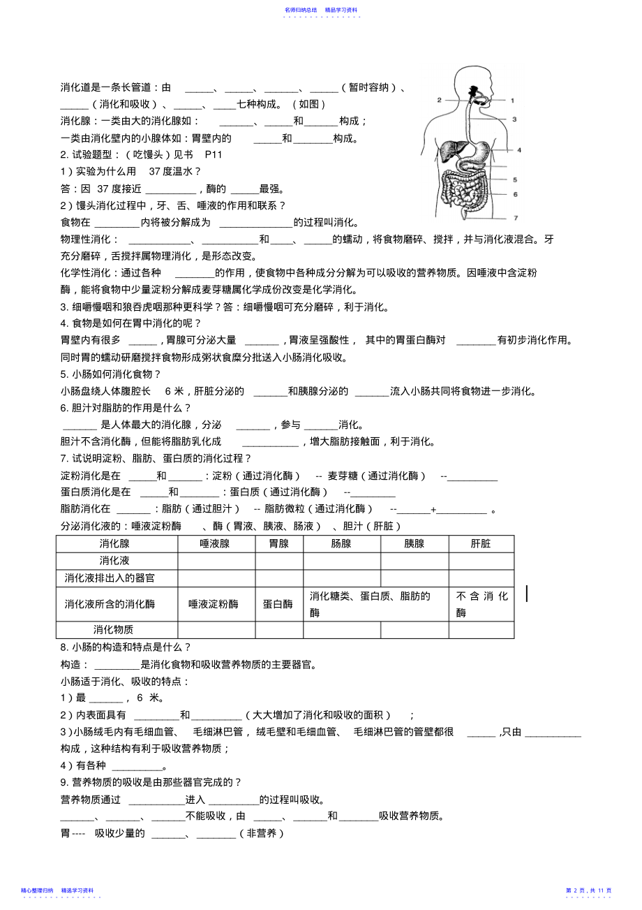 2022年七年级生物下册基础知识济南版 .pdf_第2页