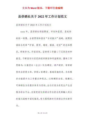 县供销社关于2022年工作计划范文.docx