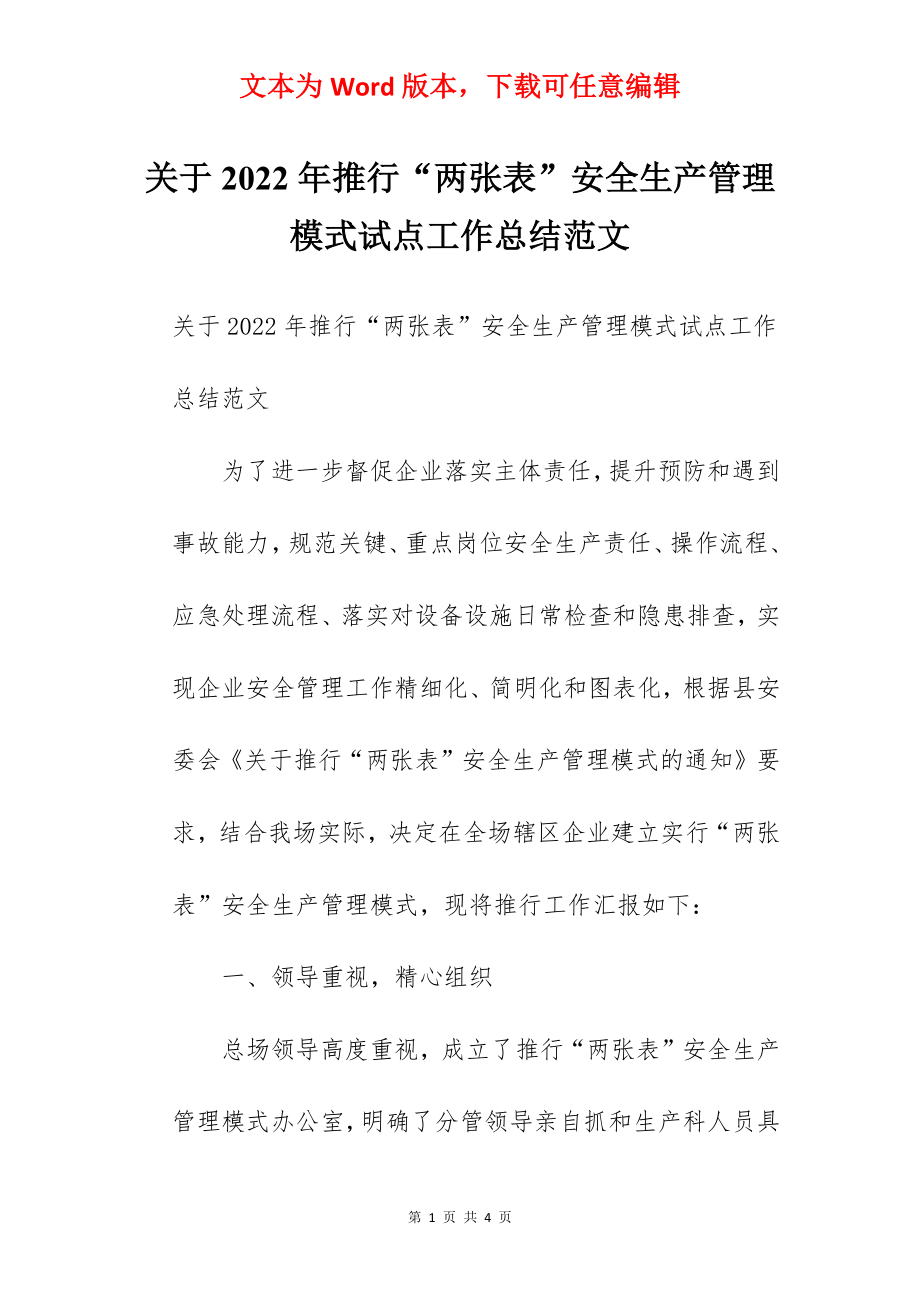 关于2022年推行“两张表”安全生产管理模式试点工作总结范文.docx_第1页