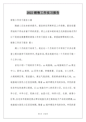 2022销售工作实习报告例文6.docx