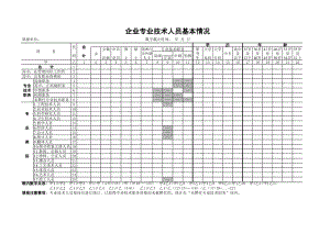 精选行业工作表格数据模板 企业专业技术人员基本情况表.pdf