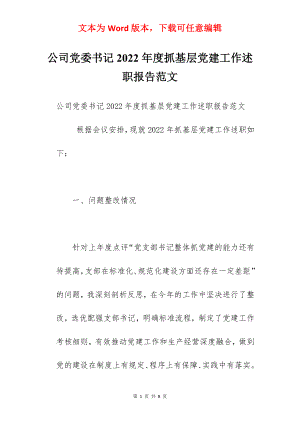 公司党委书记2022年度抓基层党建工作述职报告范文.docx