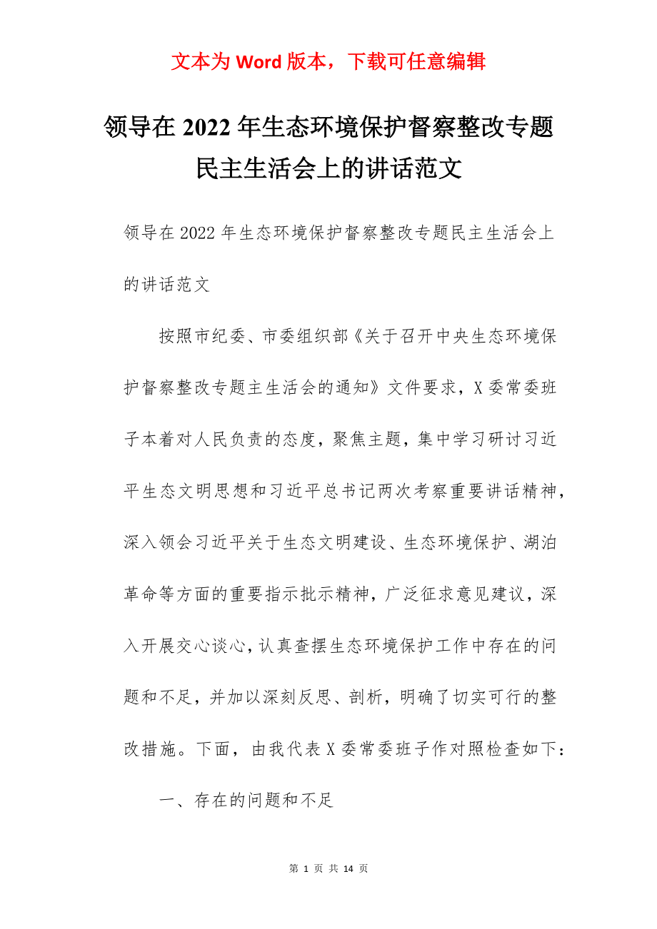 领导在2022年生态环境保护督察整改专题民主生活会上的讲话范文.docx_第1页