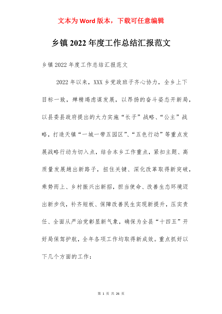 乡镇2022年度工作总结汇报范文.docx_第1页