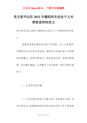 党支部书记在2022专题组织生活会个人对照检查材料范文.docx