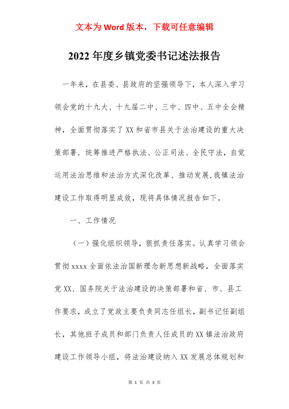 2022年度乡镇党委书记述法报告.docx_第1页