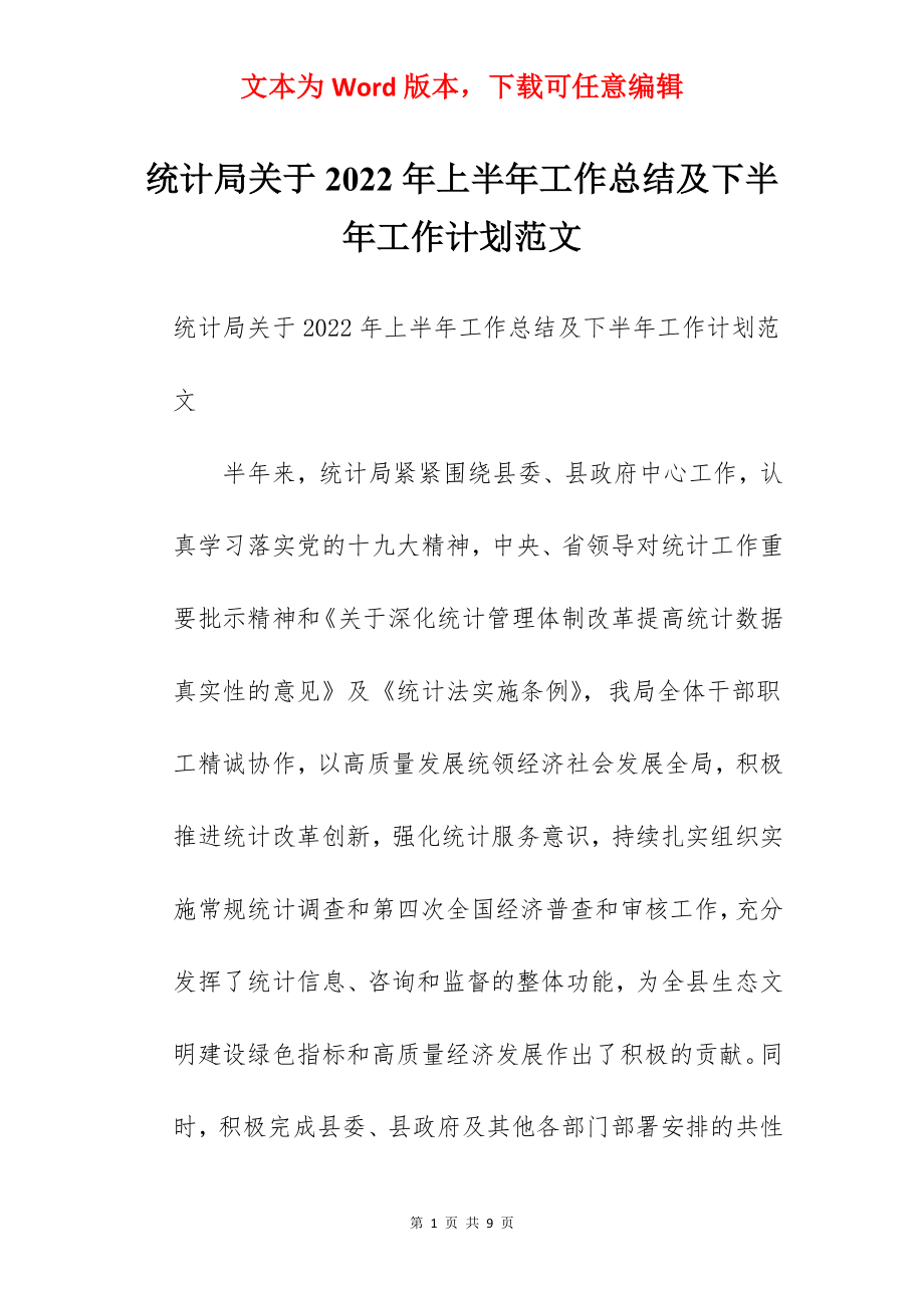 统计局关于2022年上半年工作总结及下半年工作计划范文　.docx_第1页