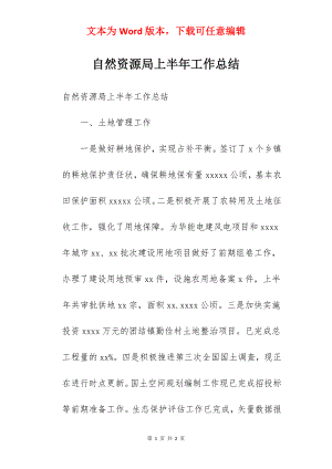 自然资源局上半年工作总结.docx