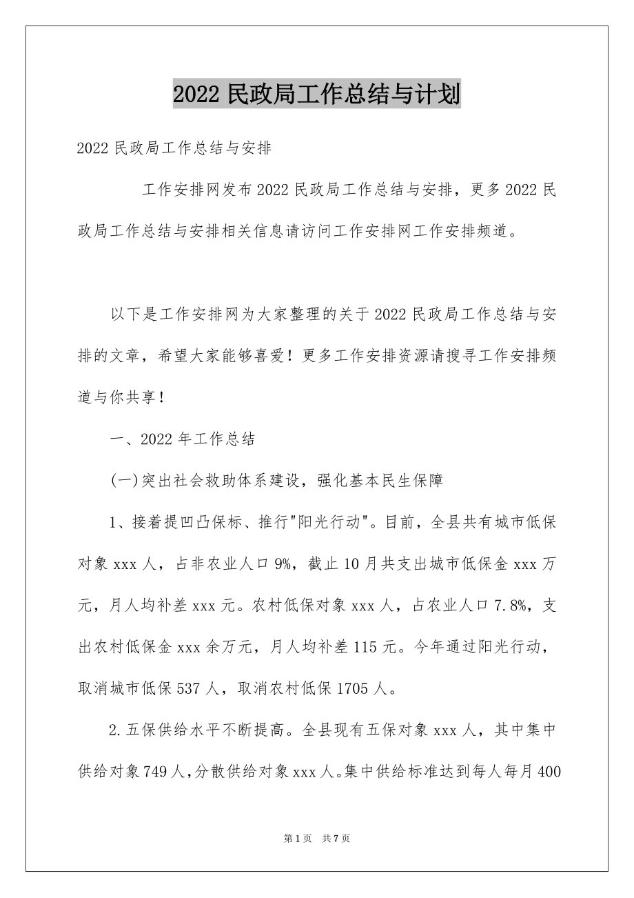 2022民政局工作总结与计划.docx_第1页