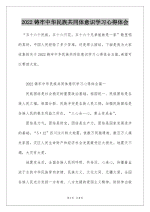 2022铸牢中华民族共同体意识学习心得体会.docx