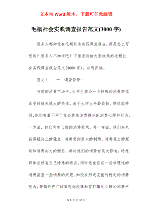 毛概社会实践调查报告范文(3000字).docx