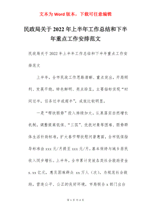 民政局关于2022年上半年工作总结和下半年重点工作安排范文.docx