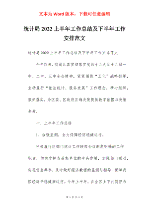 统计局2022上半年工作总结及下半年工作安排范文.docx