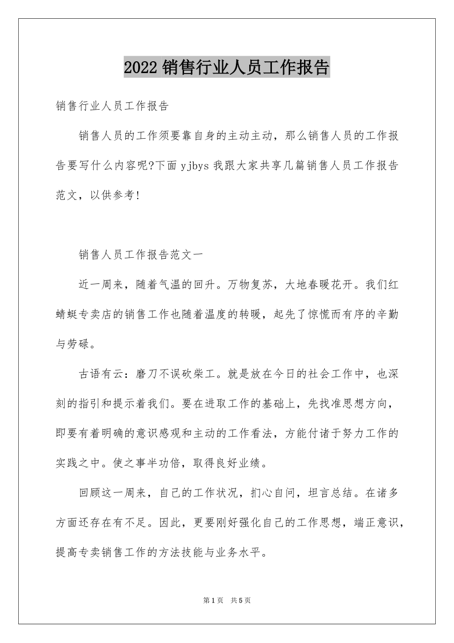 2022销售行业人员工作报告.docx_第1页