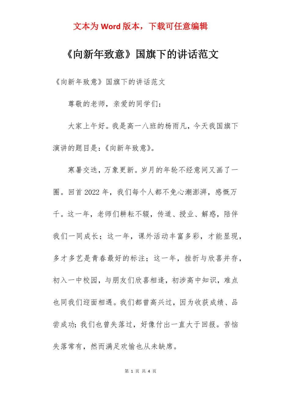 《向新年致意》国旗下的讲话范文.docx_第1页