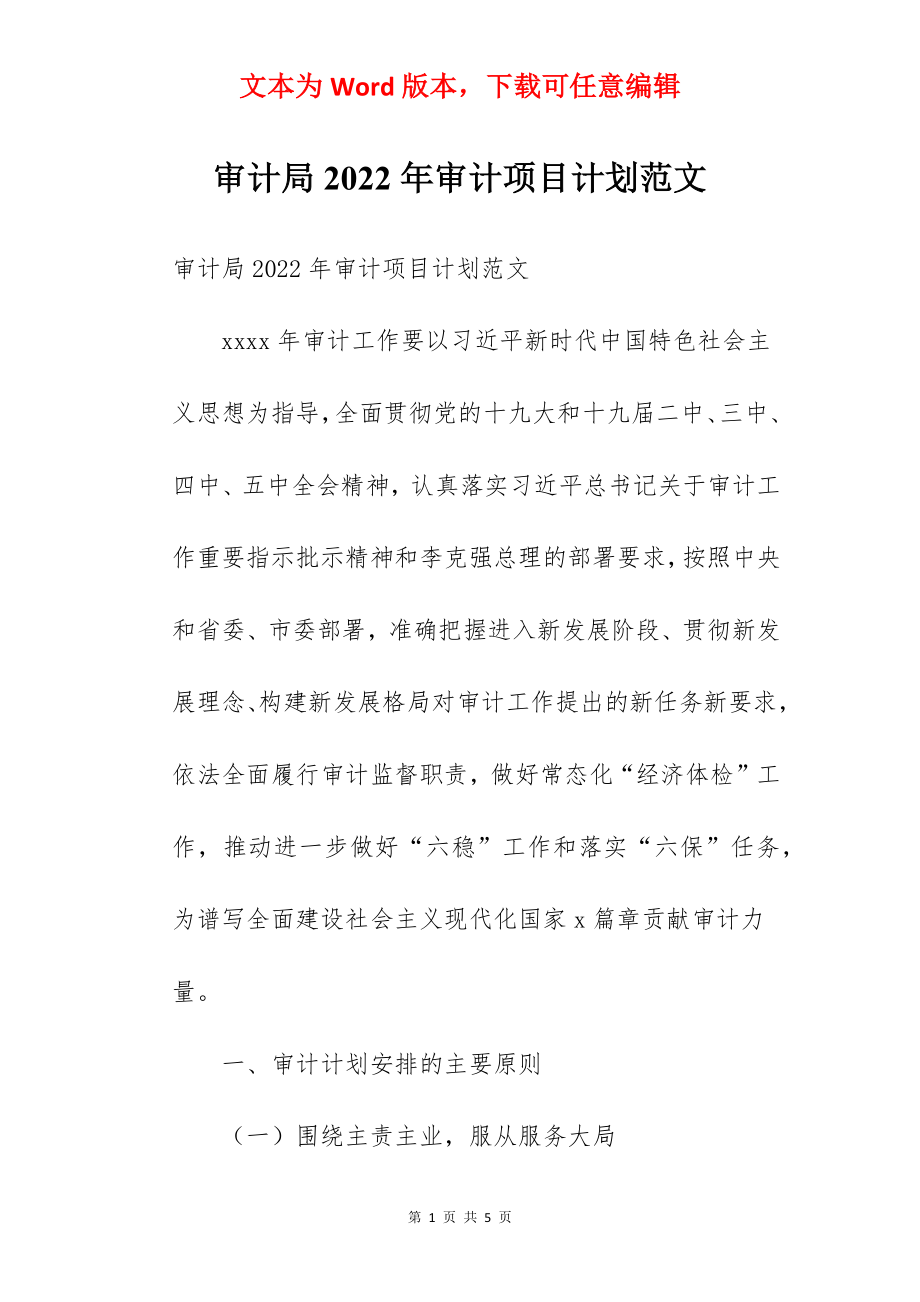 审计局2022年审计项目计划范文.docx_第1页