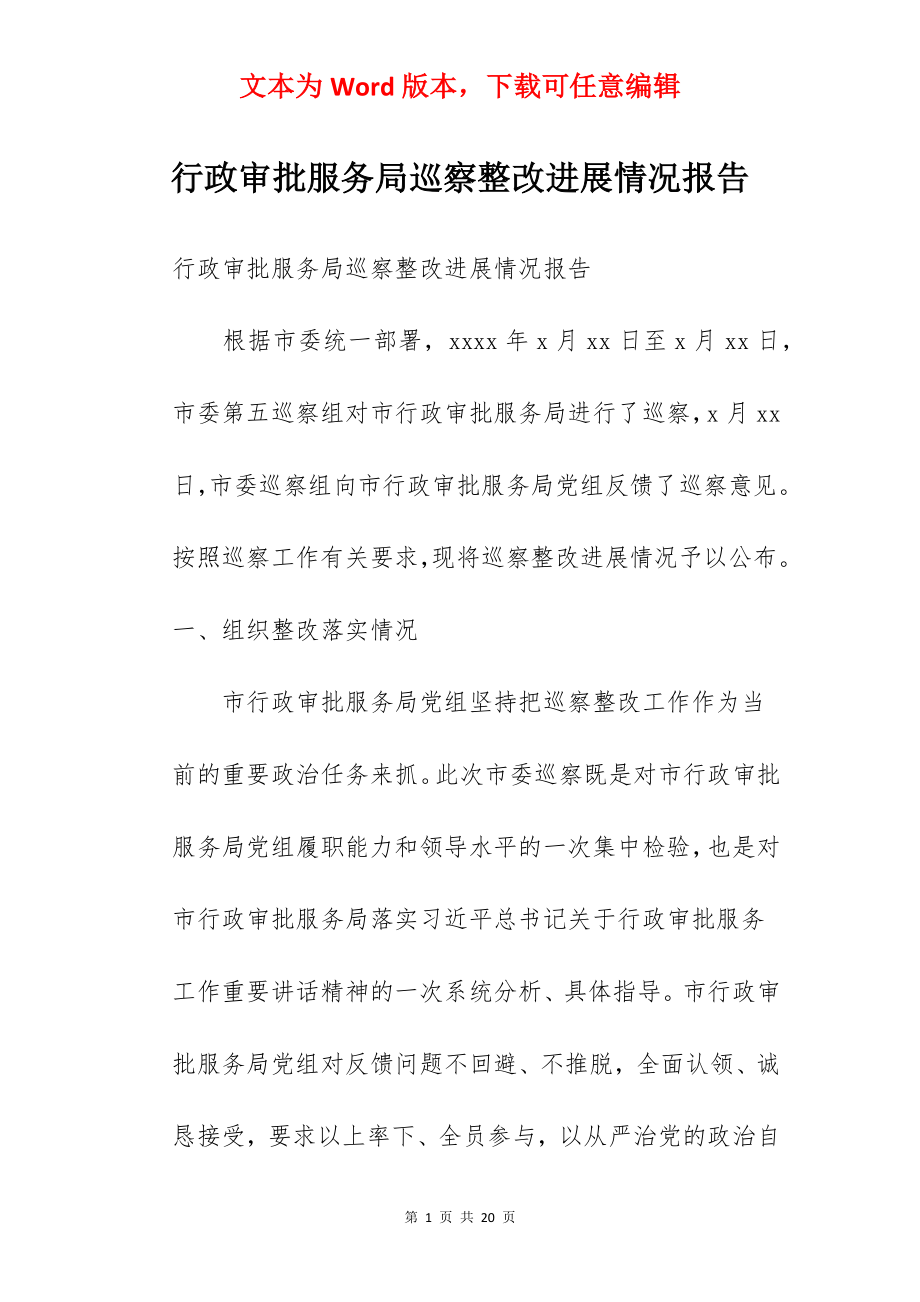 行政审批服务局巡察整改进展情况报告.docx_第1页