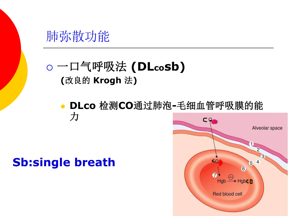 肺弥散功能检查ppt课件.ppt_第2页