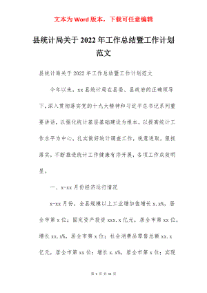 县统计局关于2022年工作总结暨工作计划范文.docx