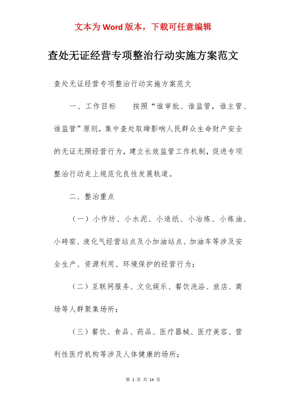 查处无证经营专项整治行动实施方案范文.docx_第1页