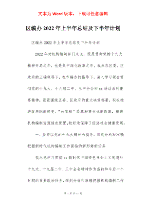 区编办2022年上半年总结及下半年计划.docx