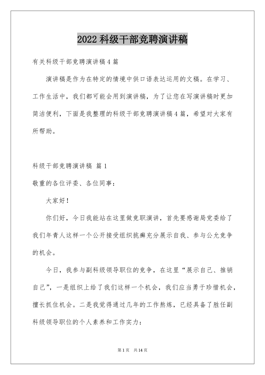 2022科级干部竞聘演讲稿范文.docx_第1页