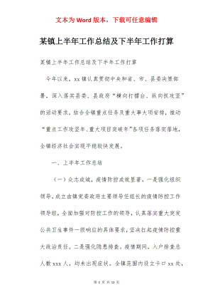 某镇上半年工作总结及下半年工作打算.docx