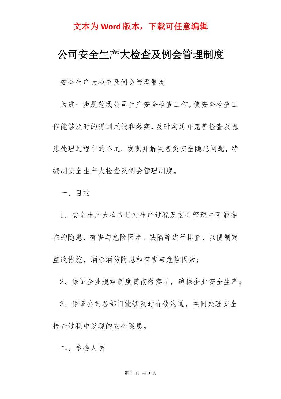 公司安全生产大检查及例会管理制度.docx_第1页