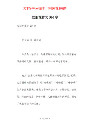 放烟花作文500字.docx