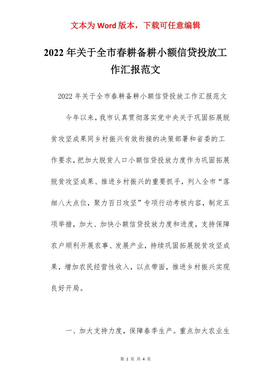 2022年关于全市春耕备耕小额信贷投放工作汇报范文.docx_第1页