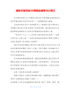 浦东开发开放30周观后感学习心得三.doc