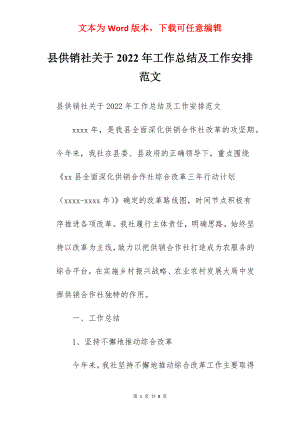 县供销社关于2022年工作总结及工作安排范文.docx