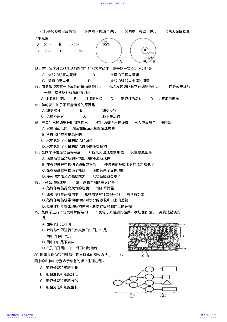 2022年七年级生物上册第二次月考试卷及答案 2.pdf_第2页