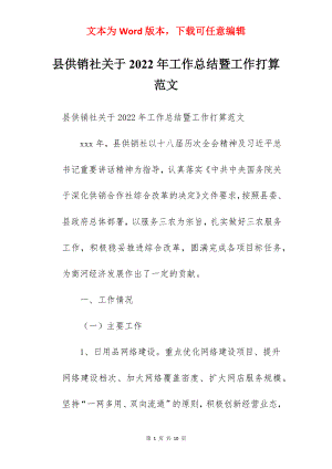 县供销社关于2022年工作总结暨工作打算范文.docx