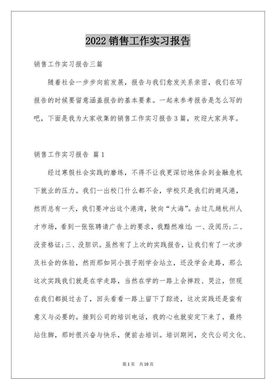 2022销售工作实习报告例文9.docx_第1页