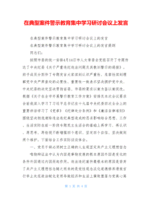 在典型案件警示教育集中学习研讨会议上发言.doc