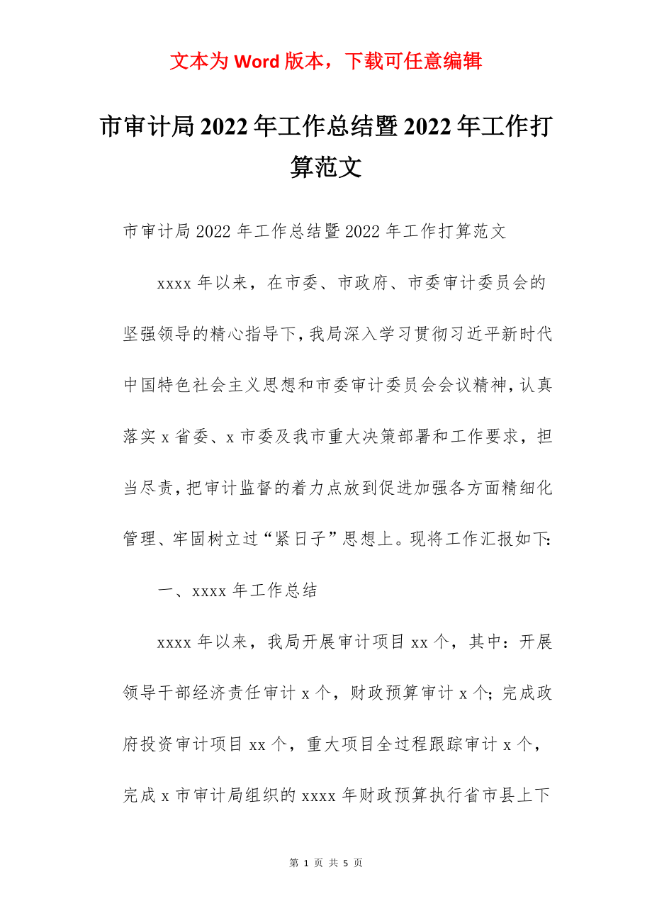 市审计局2022年工作总结暨2022年工作打算范文.docx_第1页