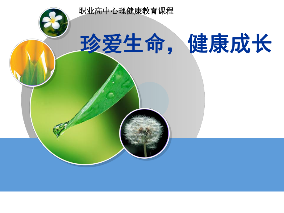 心理健康教育—珍爱生命教育ppt课件.ppt_第1页