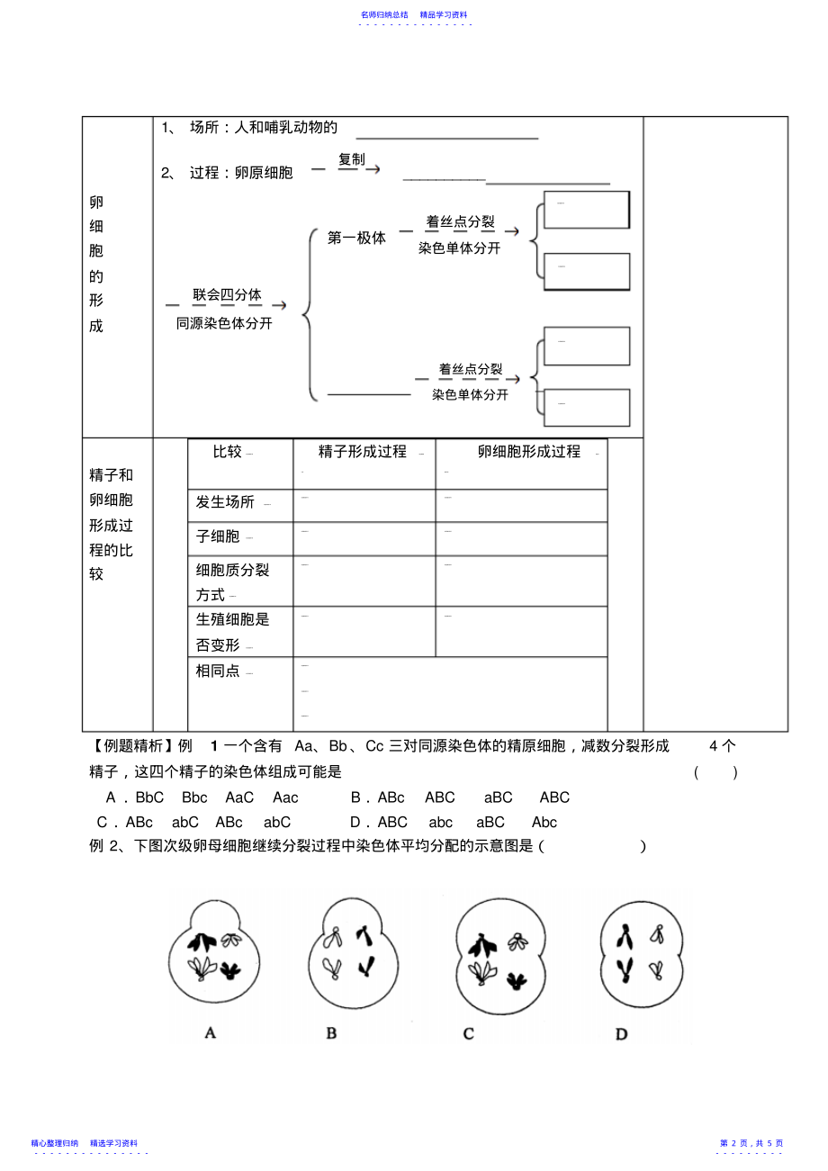 2022年一轮复习学案―课题减数分裂和受精作用 .pdf_第2页