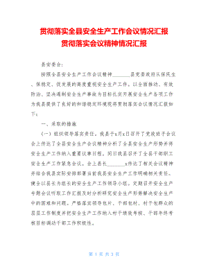 贯彻落实全县安全生产工作会议情况汇报 贯彻落实会议精神情况汇报.doc