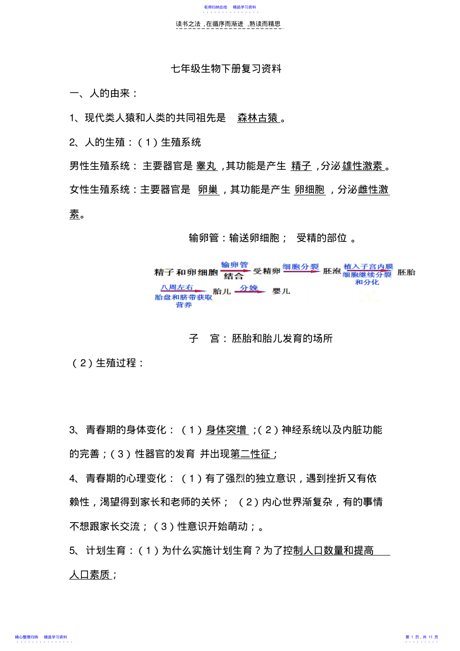 2022年七年级生物下册期末复习资料 .pdf_第1页