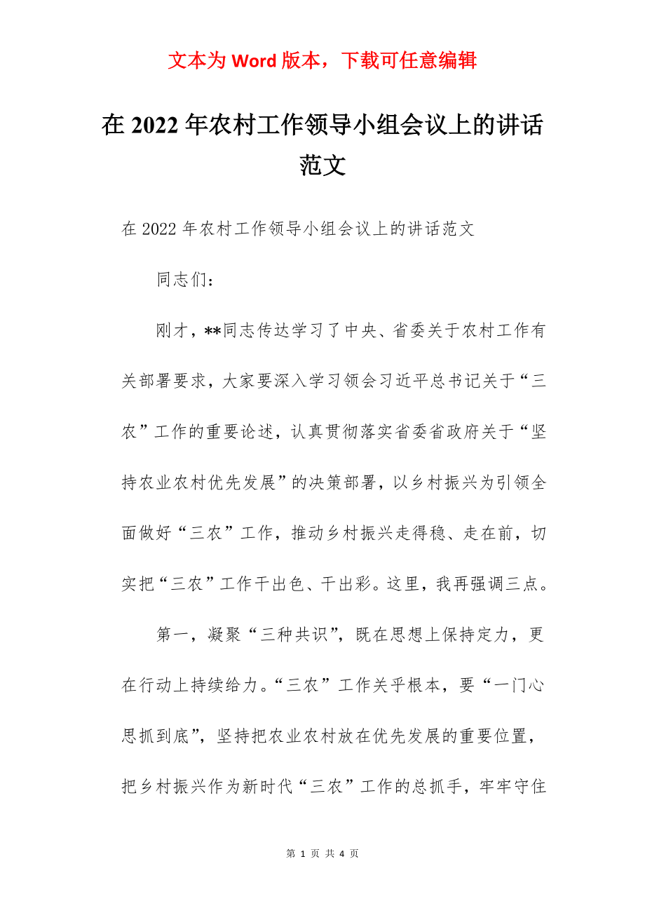 在2022年农村工作领导小组会议上的讲话范文.docx_第1页