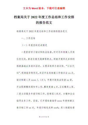 档案局关于2022年度工作总结和工作安排的报告范文.docx